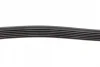 Ремінь генератора Ford Fiesta/Focus 1.4LPG/1.6Ti 08- (6PK1019) 1 987 946 197 BOSCH 1-987-946-197 (фото 8)