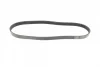 Ремінь генератора Ford Fiesta/Focus 1.4LPG/1.6Ti 08- (6PK1019) 1 987 946 197 BOSCH 1-987-946-197 (фото 9)
