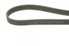 Ремінь генератора VW Golf/Passat 2.8 91-99 (7PK1360) 1 987 946 204 BOSCH 1-987-946-204 (фото 4)