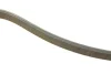 Ремінь генератора VW T5 1.9TDI/VW Caddy 1.9/2.0TDI (+AC) (6PK1215) 1 987 946 210 BOSCH 1-987-946-210 (фото 2)