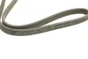 Ремінь генератора VW T5 1.9TDI/VW Caddy 1.9/2.0TDI (+AC) (6PK1215) 1 987 946 210 BOSCH 1-987-946-210 (фото 3)