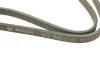 Ремінь генератора VW T5 1.9TDI/VW Caddy 1.9/2.0TDI (+AC) (6PK1215) 1 987 946 210 BOSCH 1-987-946-210 (фото 4)
