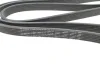 Ремінь генератора MB Sprinter (W906)/Vito (W639) 06- (OM651) (6DPK2215) 1 987 946 217 BOSCH 1-987-946-217 (фото 2)