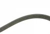Ремінь генератора Opel Zafira 1.6 05-15/ Suzuki Baleno1.8i 96-02/ Grand Vitara2.0 98-15 (5PK1545) 1 987 946 236 BOSCH 1-987-946-236 (фото 2)