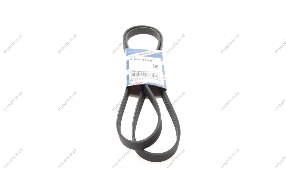 Ремінь генератора Hyundai i10/Kia Picanto 1.1 CRDi 08-/Mitsubishi Colt 1.5 DI-D 04-12 (5PK1788) 1 987 946 239 BOSCH 1-987-946-239 (фото 1)