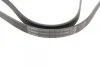Ремінь генератора Hyundai i10/Kia Picanto 1.1 CRDi 08-/Mitsubishi Colt 1.5 DI-D 04-12 (5PK1788) 1 987 946 239 BOSCH 1-987-946-239 (фото 2)