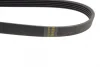 Ремінь генератора Hyundai i10/Kia Picanto 1.1 CRDi 08-/Mitsubishi Colt 1.5 DI-D 04-12 (5PK1788) 1 987 946 239 BOSCH 1-987-946-239 (фото 3)