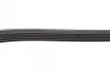 Ремінь генератора Hyundai i10/Kia Picanto 1.1 CRDi 08-/Mitsubishi Colt 1.5 DI-D 04-12 (5PK1788) 1 987 946 239 BOSCH 1-987-946-239 (фото 4)
