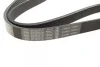 Ремінь генератора VW Caddy III/Golf III/Passat/T4 1.9D/TD (TP) (6PK1050) 1 987 946 240 BOSCH 1-987-946-240 (фото 2)