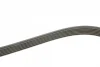 Ремінь генератора Audi A4/A6/A8/Q7 2.7/3.0TDI 04- (6PK2490) 1 987 946 246 BOSCH 1-987-946-246 (фото 2)