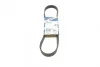 Ремінь генератора Opel Movano 2.8DTI 98-01/VW Crafter 30-35 2.0TDI 11- (6PK841) 1 987 946 247 BOSCH 1-987-946-247 (фото 1)