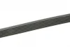 Ремінь генератора Opel Movano 2.8DTI 98-01/VW Crafter 30-35 2.0TDI 11- (6PK841) 1 987 946 247 BOSCH 1-987-946-247 (фото 3)