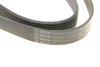 Ремінь генератора VW Touareg 3.0 Hybrid 10-18/Audi A4/A6/A7/Q5/Q7 3.0TFSI 08-17 (7PK1275) 1 987 946 251 BOSCH 1-987-946-251 (фото 6)