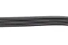 Ремень генератора Land Rover Discovery/Range Rover 2.5 Td5/3.9-4.6 93-04 (7PK1870) 1 987 946 258 BOSCH 1-987-946-258 (фото 3)