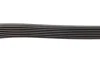 Ремінь генератора Renault Trafic/Opel Vivaro 2.0CDTi 06-/MB E-class 3.0 11-13/Toyota Avensis 05-08 (7PK2000) 1 987 946 259 BOSCH 1-987-946-259 (фото 3)