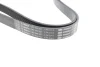 Ремінь генератора MB C-class (W203) 1.8 Kompressor 02-07 (7PK2315) 1 987 946 262 BOSCH 1-987-946-262 (фото 2)