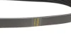 Ремінь генератора Renault Clio 1.2 16V 05-14 (7PK880) 1 987 946 264 BOSCH 1-987-946-264 (фото 2)