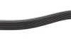 Ремінь генератора Renault Clio 1.2 16V 05-14 (7PK880) 1 987 946 264 BOSCH 1-987-946-264 (фото 4)