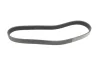 Ремінь генератора Renault Clio 1.2 16V 05-14 (7PK880) 1 987 946 264 BOSCH 1-987-946-264 (фото 5)