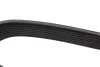 Ремінь генератора Mazda 3/5/6 2.0 DI/CD 02-10 (8PK1225) 1 987 946 266 BOSCH 1-987-946-266 (фото 4)