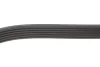 Ремінь генератора VW T4 2.5TDI 90-03 (6PK2213) 1 987 946 275 BOSCH 1-987-946-275 (фото 2)