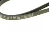 Ремінь генератора Hyundai Accent/Kia Rio 1.5 CRDi 05- (5PK1800) 1 987 946 279 BOSCH 1-987-946-279 (фото 5)