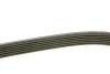 Ремінь генератора MB Sprinter OM611 (-AC) (6PK2203) 1 987 946 282 BOSCH 1-987-946-282 (фото 2)