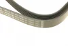Ремінь генератора MB Sprinter OM611 (-AC) (6PK2203) 1 987 946 282 BOSCH 1-987-946-282 (фото 3)