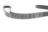 Ремінь генератора Hyundai Terracan 2.9 CRDi 01-06 (5PK1697) 1 987 946 292 BOSCH 1-987-946-292 (фото 4)
