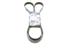 Ремінь генератора Ford Connect 1.8 TDCI 02-13 (6PK1720) 1 987 946 295 BOSCH 1-987-946-295 (фото 1)