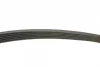 Ремінь генератора Ford Connect 1.8 TDCI 02-13 (6PK1720) 1 987 946 295 BOSCH 1-987-946-295 (фото 3)