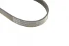 Ремінь генератора Ford Connect 1.8 TDCI 02-13 (6PK1720) 1 987 946 295 BOSCH 1-987-946-295 (фото 4)