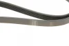 Ремінь генератора Ford Connect 1.8 TDCI 02-13 (6PK1720) 1 987 946 295 BOSCH 1-987-946-295 (фото 5)