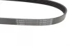 Ремінь генератора VW Golf/Skoda Octavia 2.0i 04-13/Mazda 2/3 1.5 13-/Kia Ceed 1.4/1.6 07- (6PK955) 1 987 946 298 BOSCH 1-987-946-298 (фото 3)