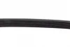 Ремінь генератора VW Golf/Skoda Octavia 2.0i 04-13/Mazda 2/3 1.5 13-/Kia Ceed 1.4/1.6 07- (6PK955) 1 987 946 298 BOSCH 1-987-946-298 (фото 4)