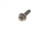 Комплект ГРМ VW T4 1.9D/TD 92-03 (137x25) 1 987 946 325 BOSCH 1-987-946-325 (фото 9)