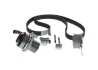 Комплект ГРМ + помпа Audi A3/A4/A5/A6/Q3/VW Caddy/T6 2.0TDI 15-/Golf VII 1.6TDI/2.0TDI 12- (25x145z) 1 987 946 383 BOSCH 1-987-946-383 (фото 4)