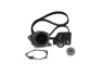 Комплект ГРМ + помпа Nissan Primera 1.9dCi 02-/Renault Scenic/Megane 1.9dCi 03-(26x133z) 1 987 946 397 BOSCH 1-987-946-397 (фото 1)