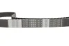 Комплект ГРМ Citroen Jumpy/Peugeot Expert 2.0 16V 07- (25.4x153z) 1 987 946 442 BOSCH 1-987-946-442 (фото 15)
