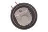 Комплект ГРМ + помпа VW Golf IV 1.6 16V 00-06 (20x130z) 1 987 946 464 BOSCH 1-987-946-464 (фото 17)