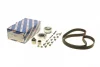 Комплект ГРМ Audi Q5/VW T5/T6/ Caddy/Crafter 1.6/2.0TDI 09- (25x160z) 1 987 946 582 BOSCH 1-987-946-582 (фото 1)