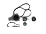 Комплект ГРМ + помпа Citroen Berlingo/Jumpy/Peugeot Partner 1.6HDI/Fiat Scudo 1.6 D 10- (25.4x141z) 1 987 946 988 BOSCH 1-987-946-988 (фото 1)