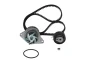 Комплект ГРМ + помпа VW Caddy/Golf/Seat Ibiza/Skoda Octavia 1.6 92-04 (19x137z) 1 987 946 993 BOSCH 1-987-946-993 (фото 1)