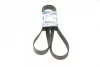 Ремінь генератора Renault Megane/Laguna/Scenic 2.0 dCi 07-/Peugeot 508 2.0HDI 18- (7PK1705) 1 987 947 044 BOSCH 1-987-947-044 (фото 1)