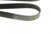 Ремінь генератора Renault Megane/Laguna/Scenic 2.0 dCi 07-/Peugeot 508 2.0HDI 18- (7PK1705) 1 987 947 044 BOSCH 1-987-947-044 (фото 5)