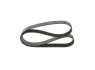 Ремінь генератора Mazda 6 2.0 MZR-CD 07-10/MPV 2.0 DI 02-06 (8PK1230) 1 987 947 047 BOSCH 1-987-947-047 (фото 1)