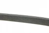 Ремінь генератора MB Truck Atego 98- (8PK1480) (OM904-909) 1 987 947 052 BOSCH 1-987-947-052 (фото 3)