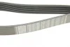 Ремінь генератора MB Truck Atego 98- (8PK1480) (OM904-909) 1 987 947 052 BOSCH 1-987-947-052 (фото 5)