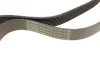 Ремінь генератора Man TGA/TGS/TGX/MB LK/LN2 OM366 84- (8PK1655) 1 987 947 057 BOSCH 1-987-947-057 (фото 3)