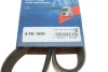 Ремінь генератора Man TGA/TGS/TGX/MB LK/LN2 OM366 84- (8PK1655) 1 987 947 057 BOSCH 1-987-947-057 (фото 6)